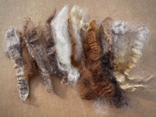 Load image into Gallery viewer, Romney Purebred wool washed fleece locks 2 lbs