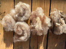 Load image into Gallery viewer, Romney Purebred wool washed fleece locks 2 lbs
